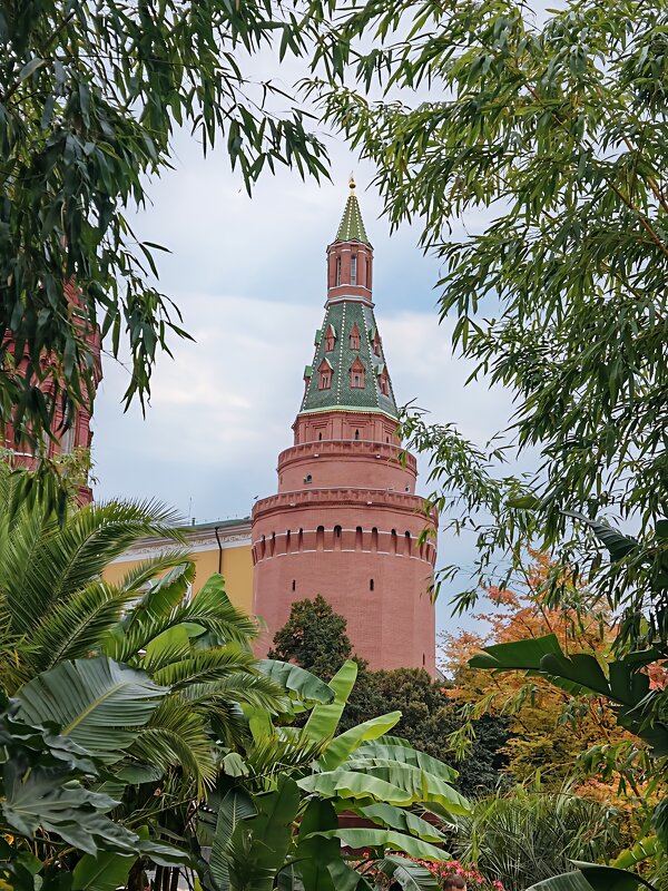 Вид с Манежной площади на одну из башен Кремля. - Vlaimir 