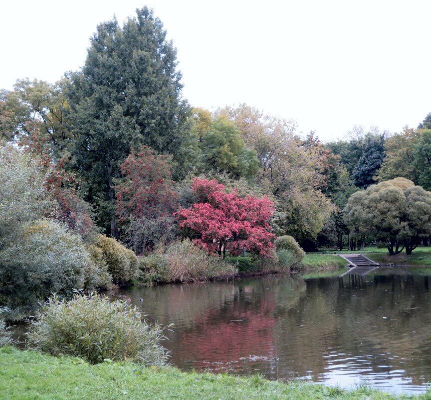 Уже не лето... - genar-58 '