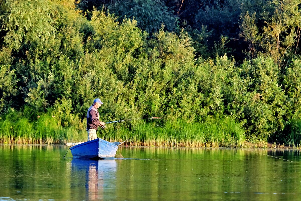 Клюнуло! - Валерий Судачок