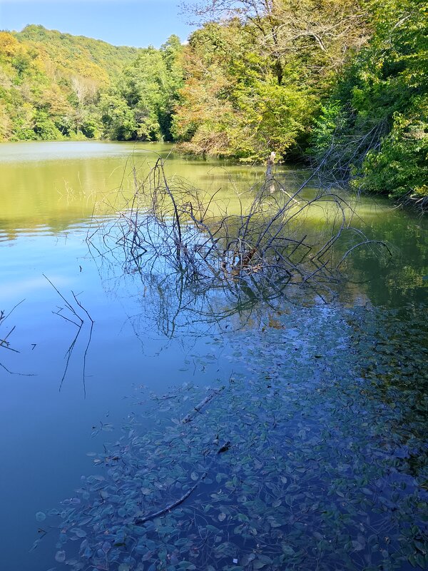 Министерские озёра - Tata Wolf