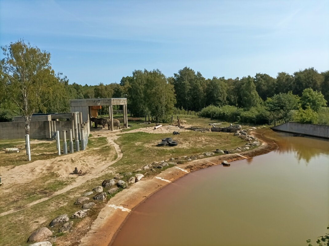 Дом толстокожих - Veera V Дом толстокожих - Veera V