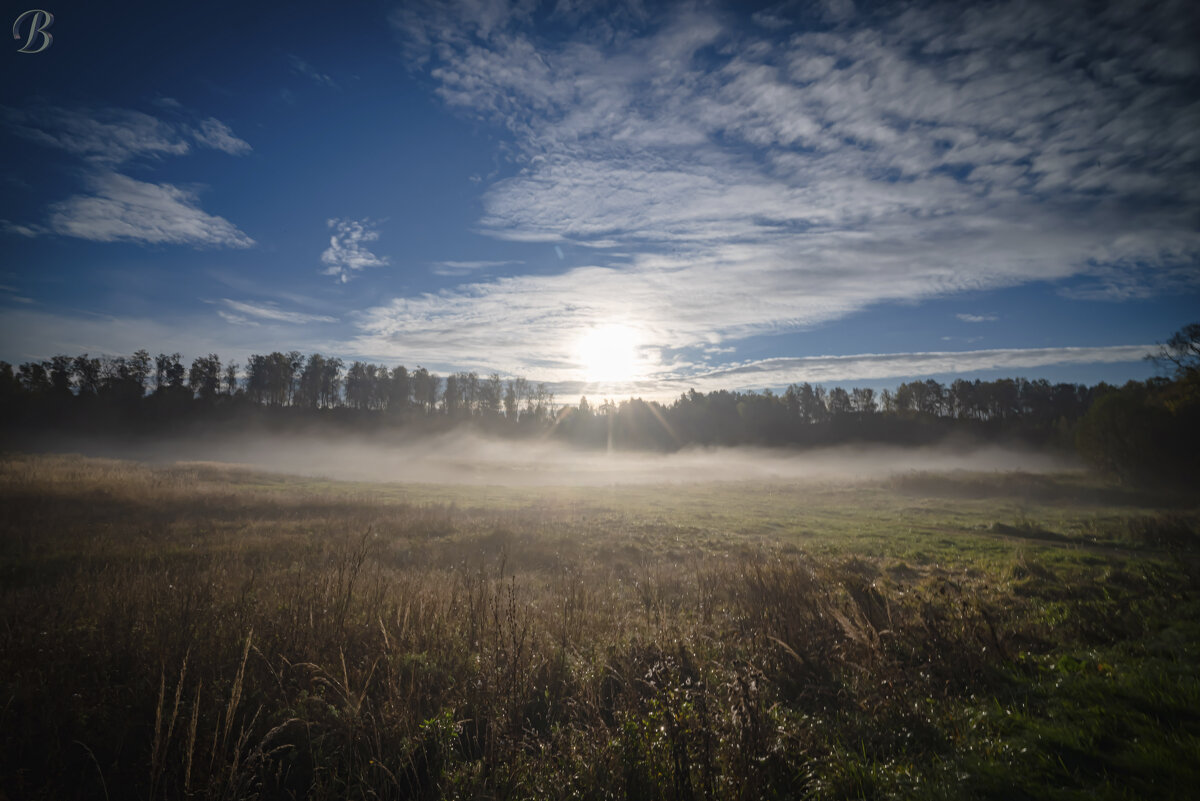 Утренний туман. - Валерий 