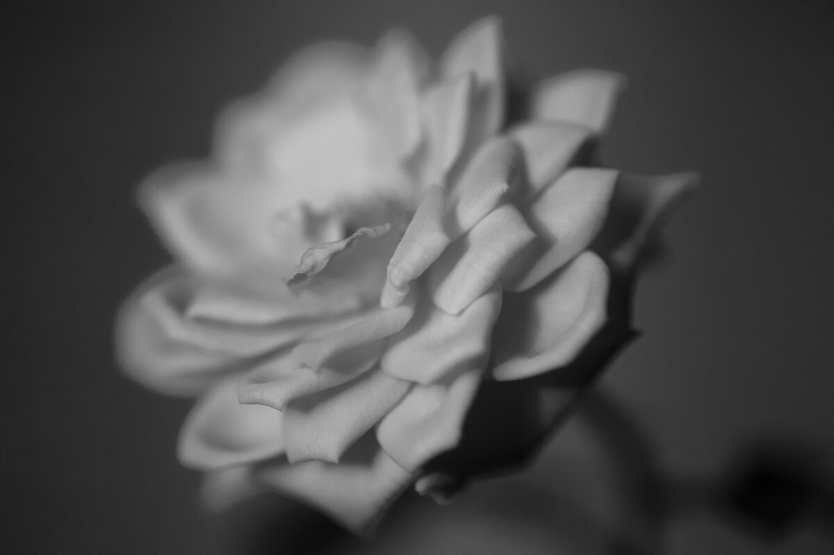 Нежность - Евгений Виличинский