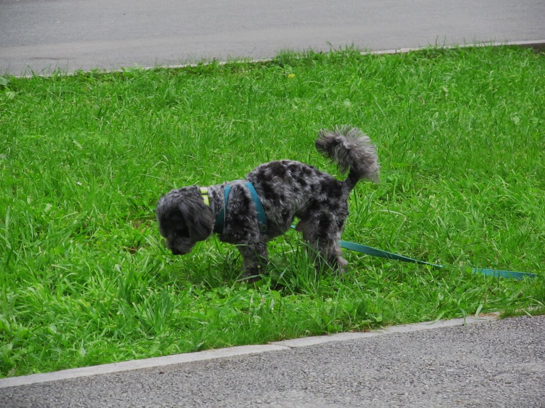 ........ - Елена Шаламова