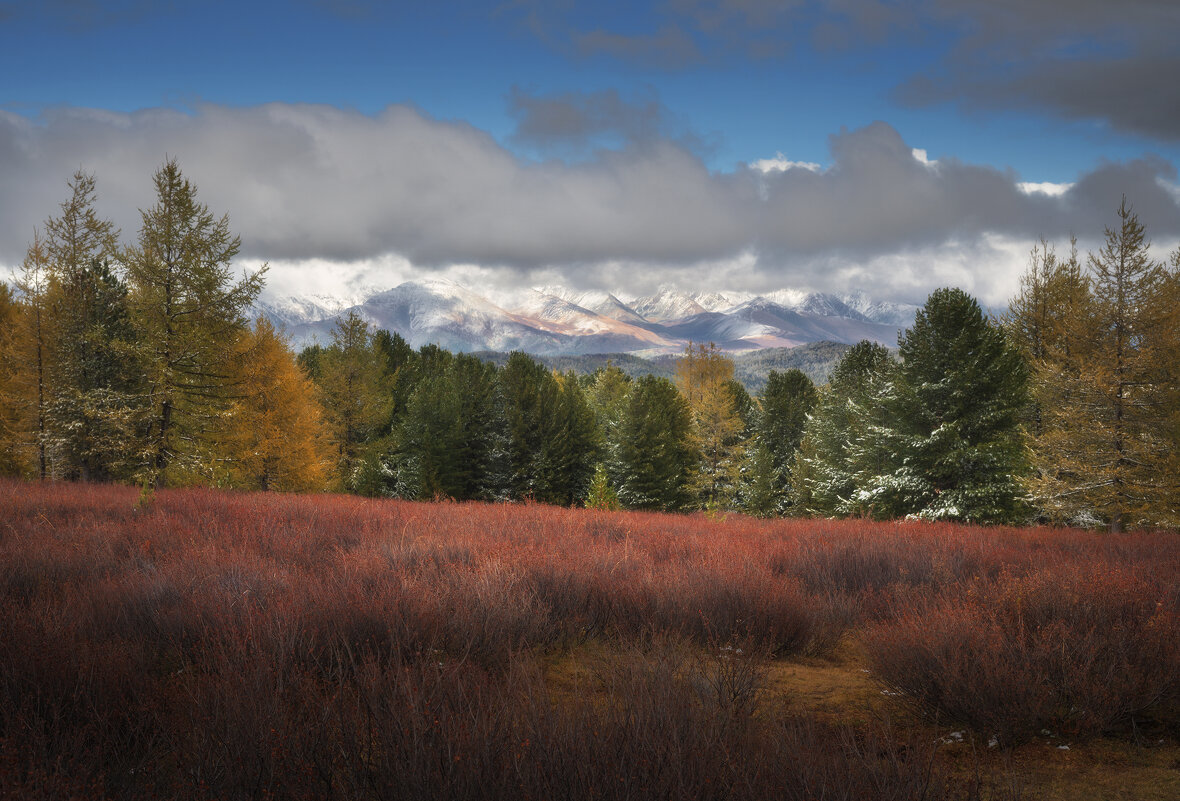 * - Александр Иванов