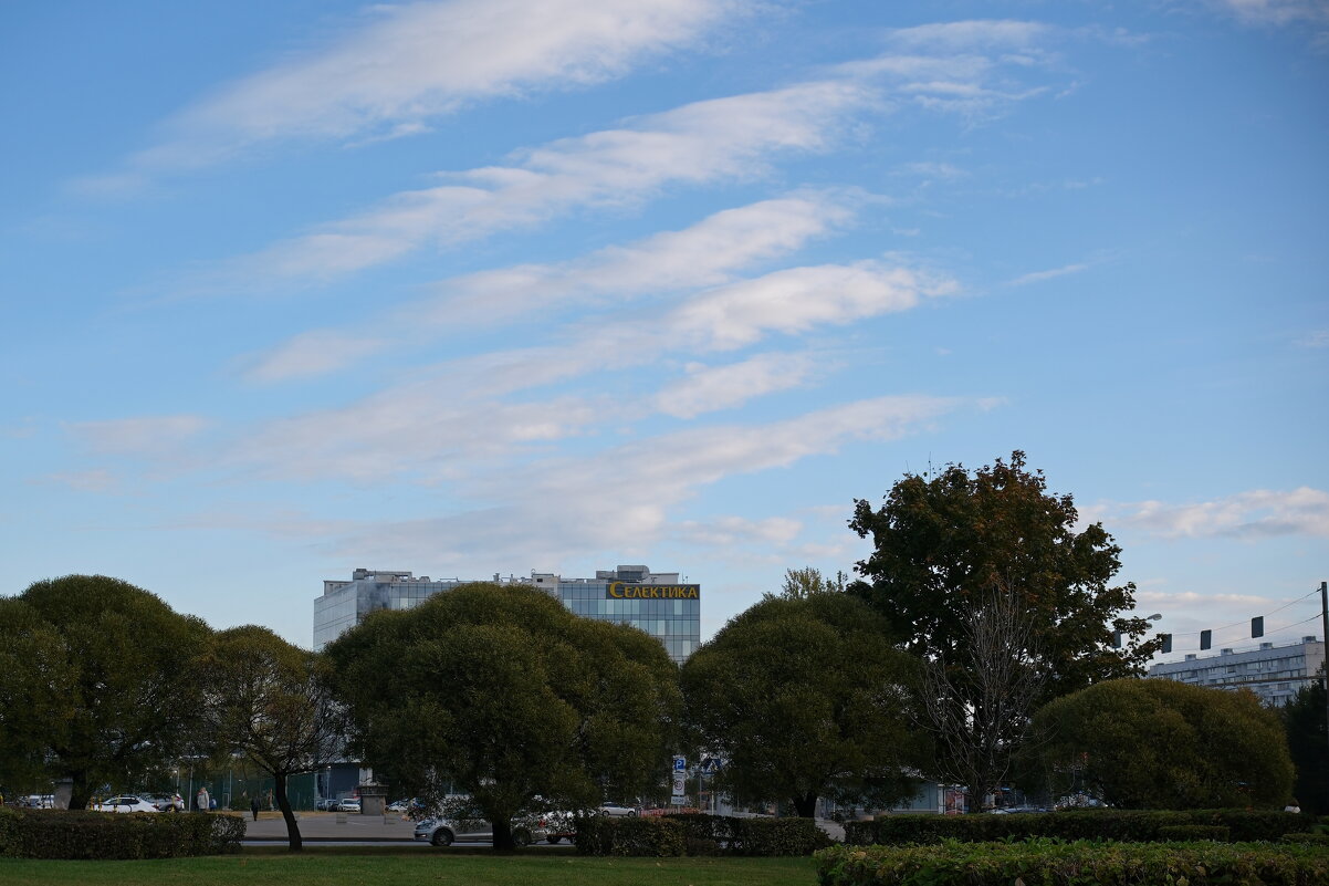 Утро - Лютый Дровосек