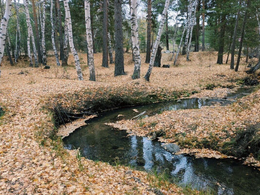 Из далека долго,течёт реченька... - Георгиевич 