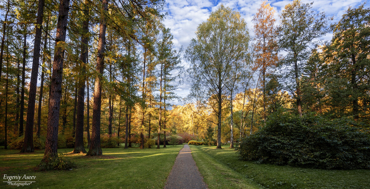 Осенний свет - Евгений 