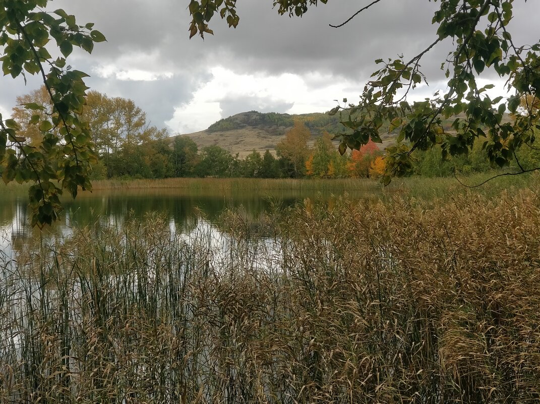 Зеркало жизни. - Андрей Хлопонин