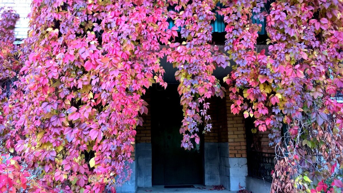 Осенний интерьер - Елена Семигина