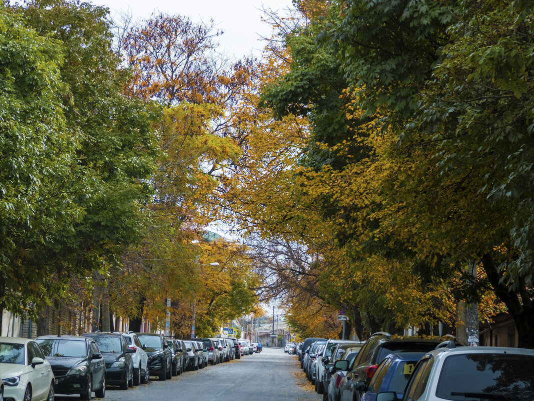 Автонашествие - Валентин Семчишин