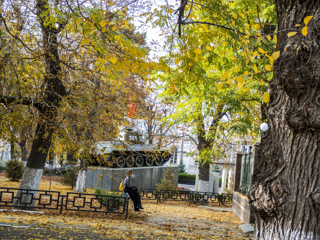 Осень в парке  победы - Валентин Семчишин