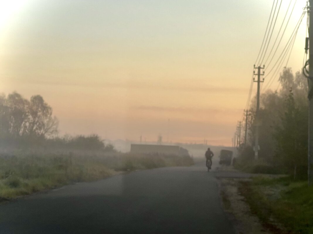 Человек в тумане - Натали Королева