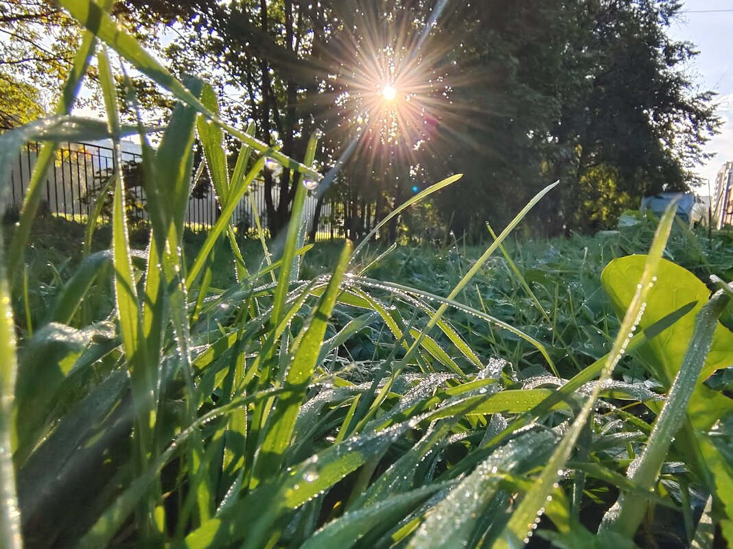 Лучики - Ирина Жигунова