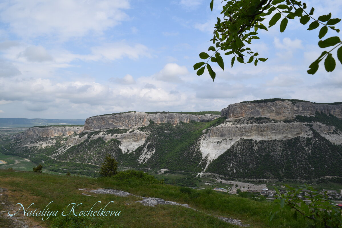 Природа Крыма - Amazing Cosmea