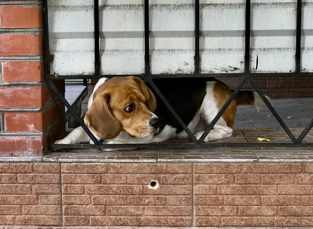 Бдительность не помешает… - Любовь 