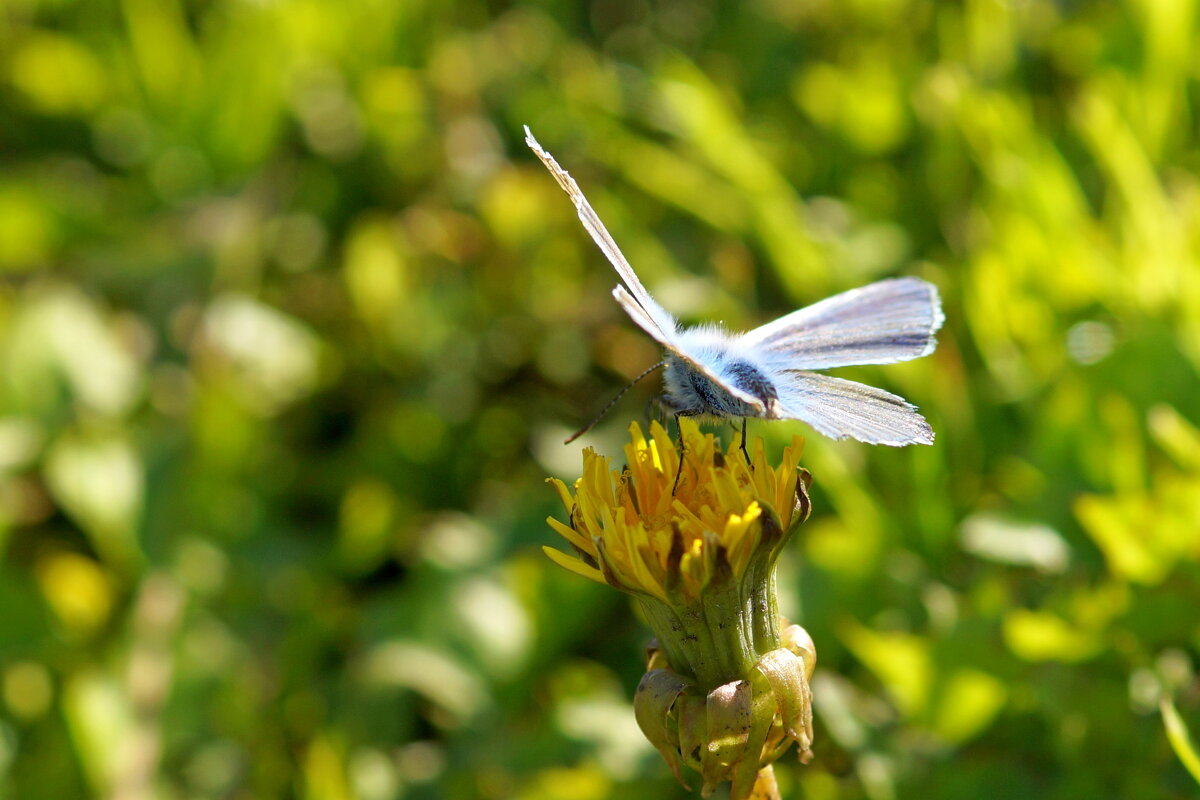 . - Андрей Катков