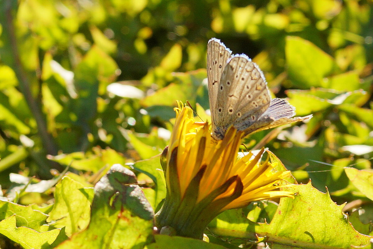 .... - Андрей Катков .... - Андрей Катков