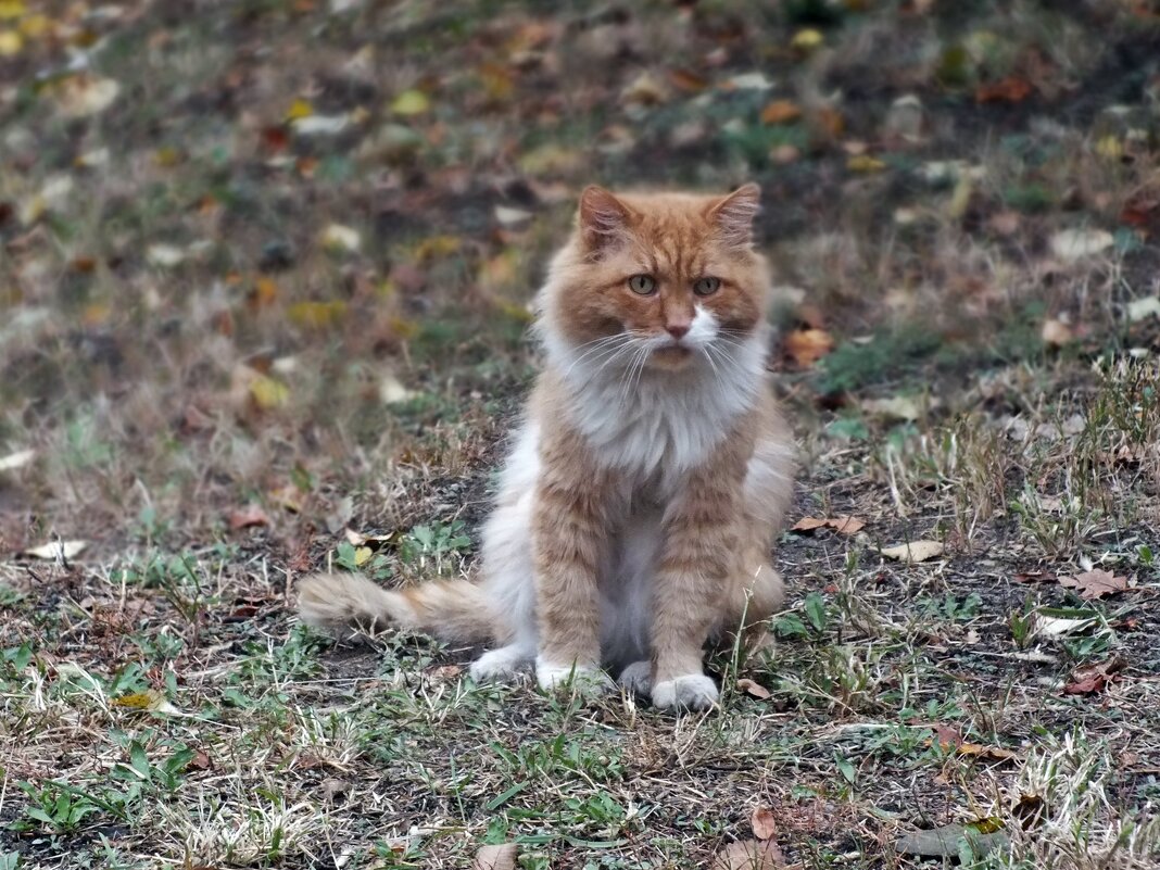 ** - Зоя Мишина ** - Зоя Мишина