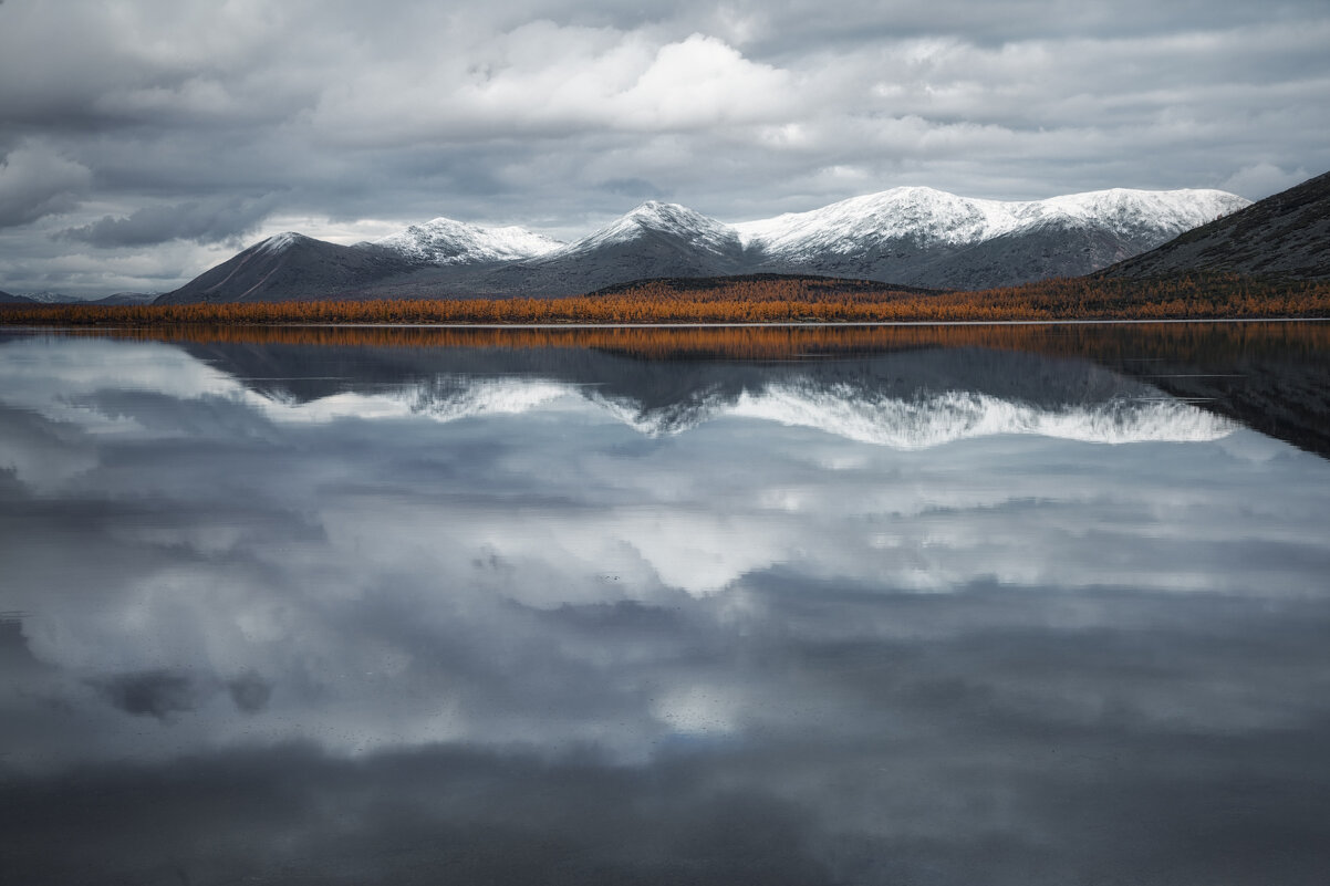 Колымский дзен - Дмитрий Шишкин