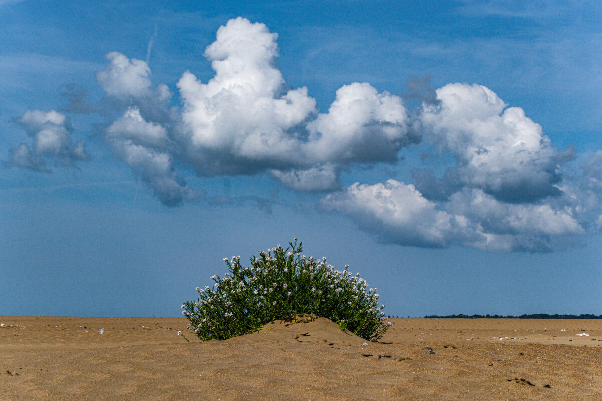 Здесь раньше был океан - Георгий А