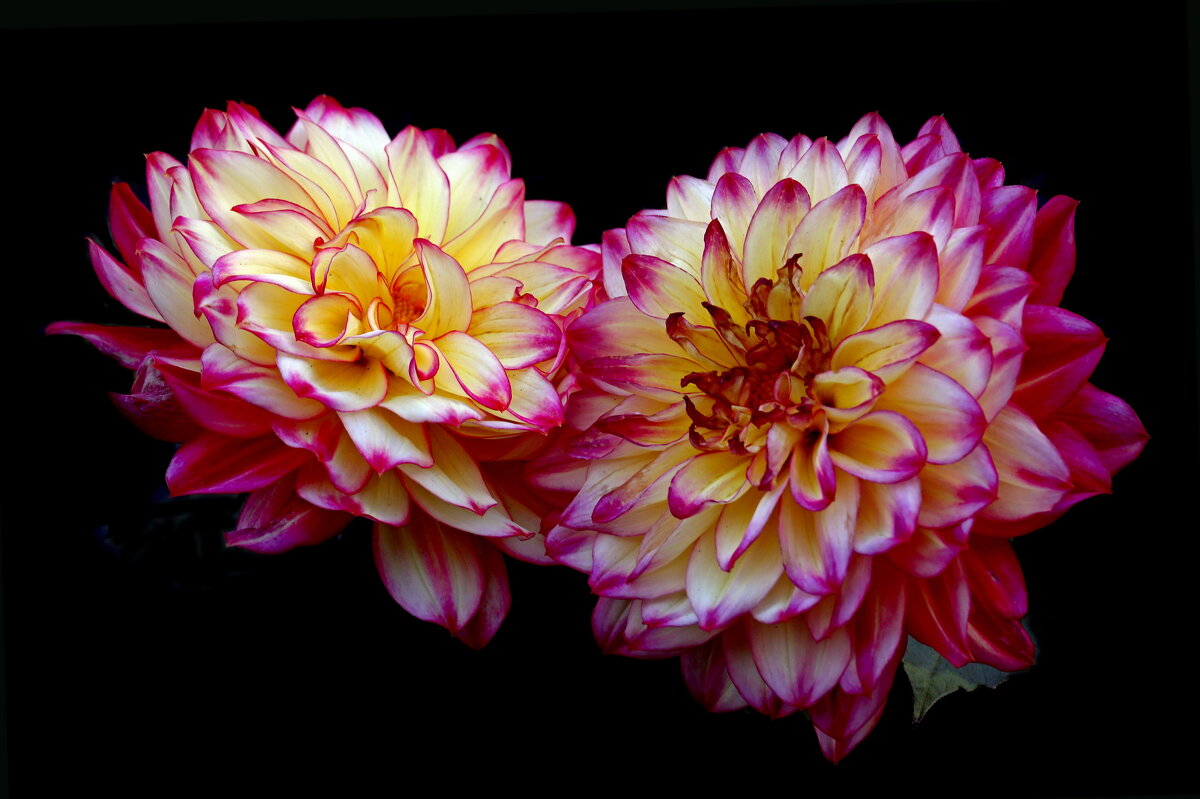 3 октября в ЦПКиО - Михаил Бибичков