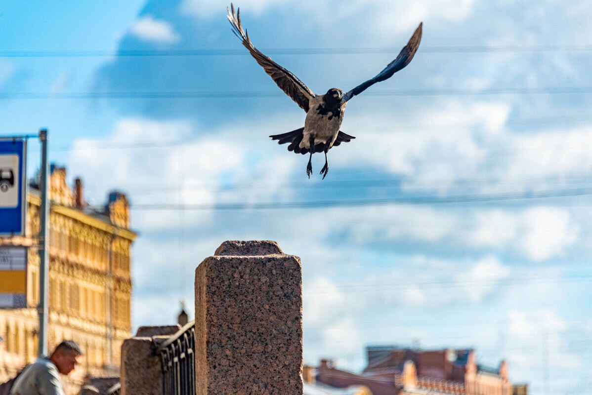 *** - Дмитрий Лупандин *** - Дмитрий Лупандин