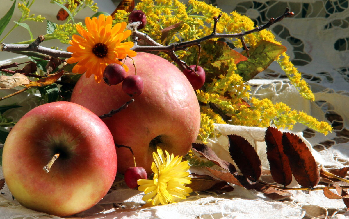 Натюрморт! - жанна нечаева