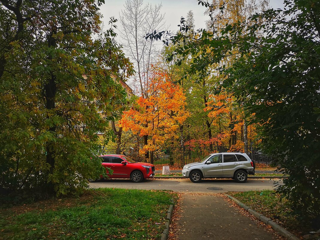 ***** - Алексей Архипов
