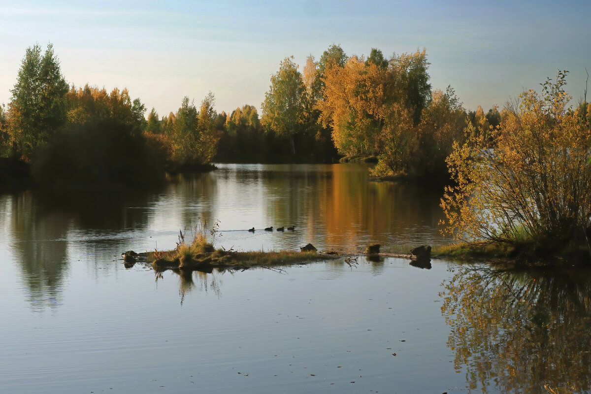 Тишина.. - Марат Шарипов