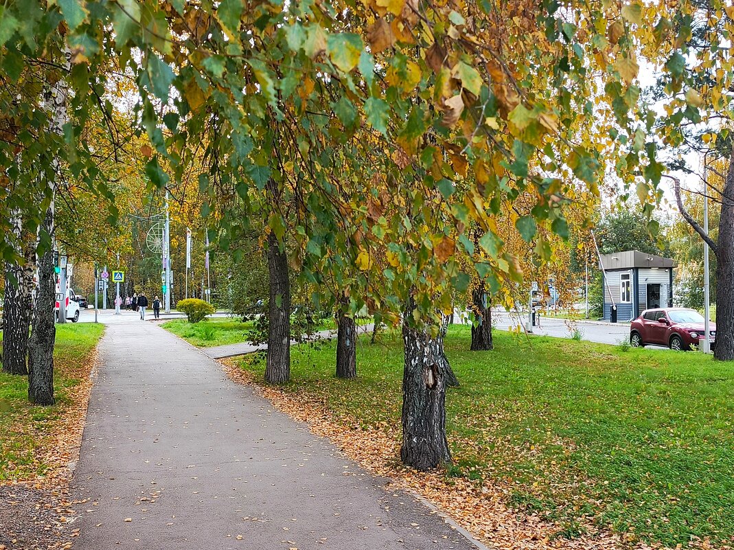 Осень в городе.. - Василий Осень в городе.. - Василий