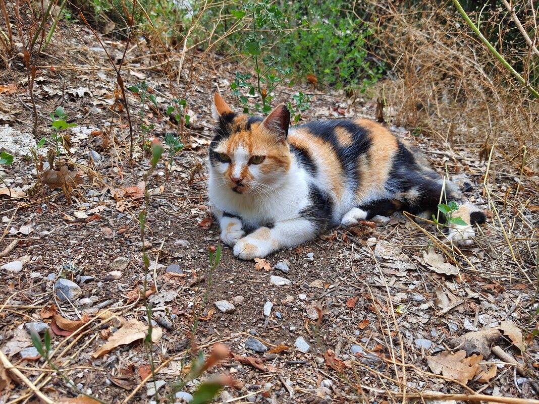 отдых - Владимир 