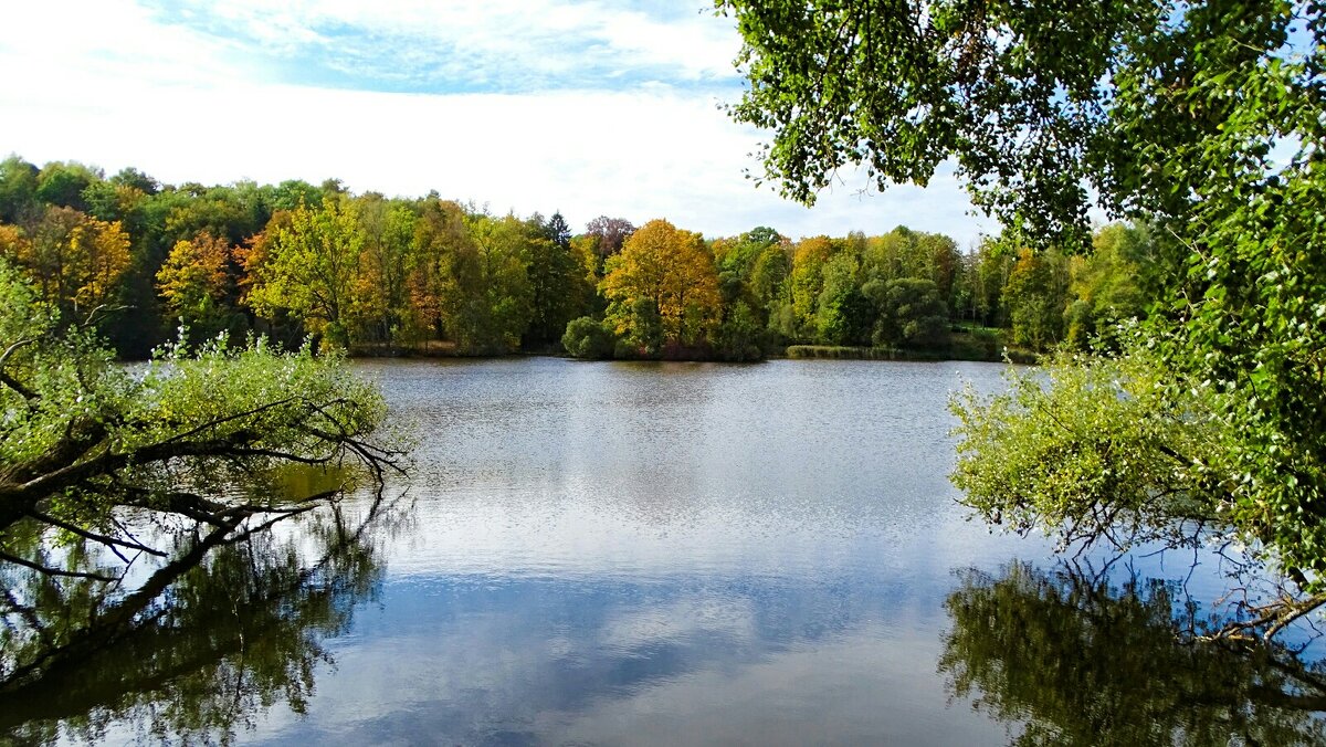 Осенний пейзаж. - Милешкин Владимир Алексеевич 