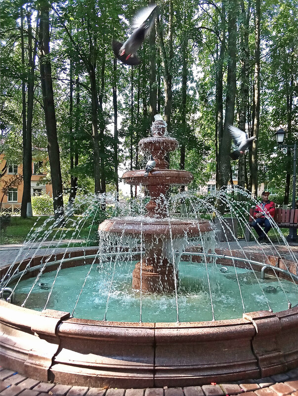 Голуби над фонтаном - Фотогруппа Весна Голуби над фонтаном - Фотогруппа Весна