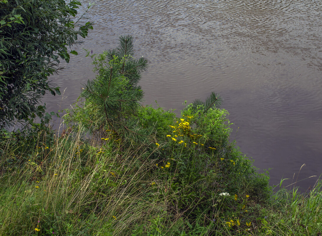 На берегу реки - Сергей Цветков На берегу реки - Сергей Цветков
