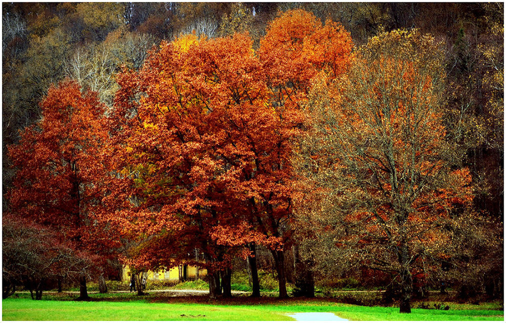 во всей красе - Aleksandr Gal
