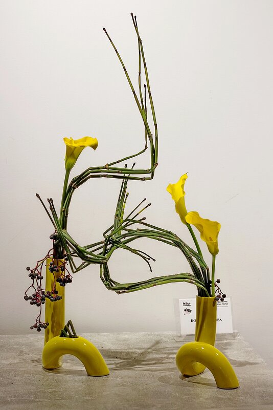 Икэбана - Тамара Вебер