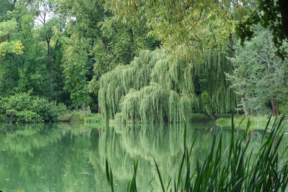 Сентябрьский пейзаж - Рита Симонова