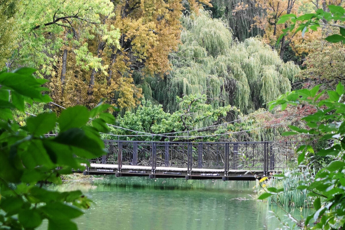 Сентябрь - Рита Симонова