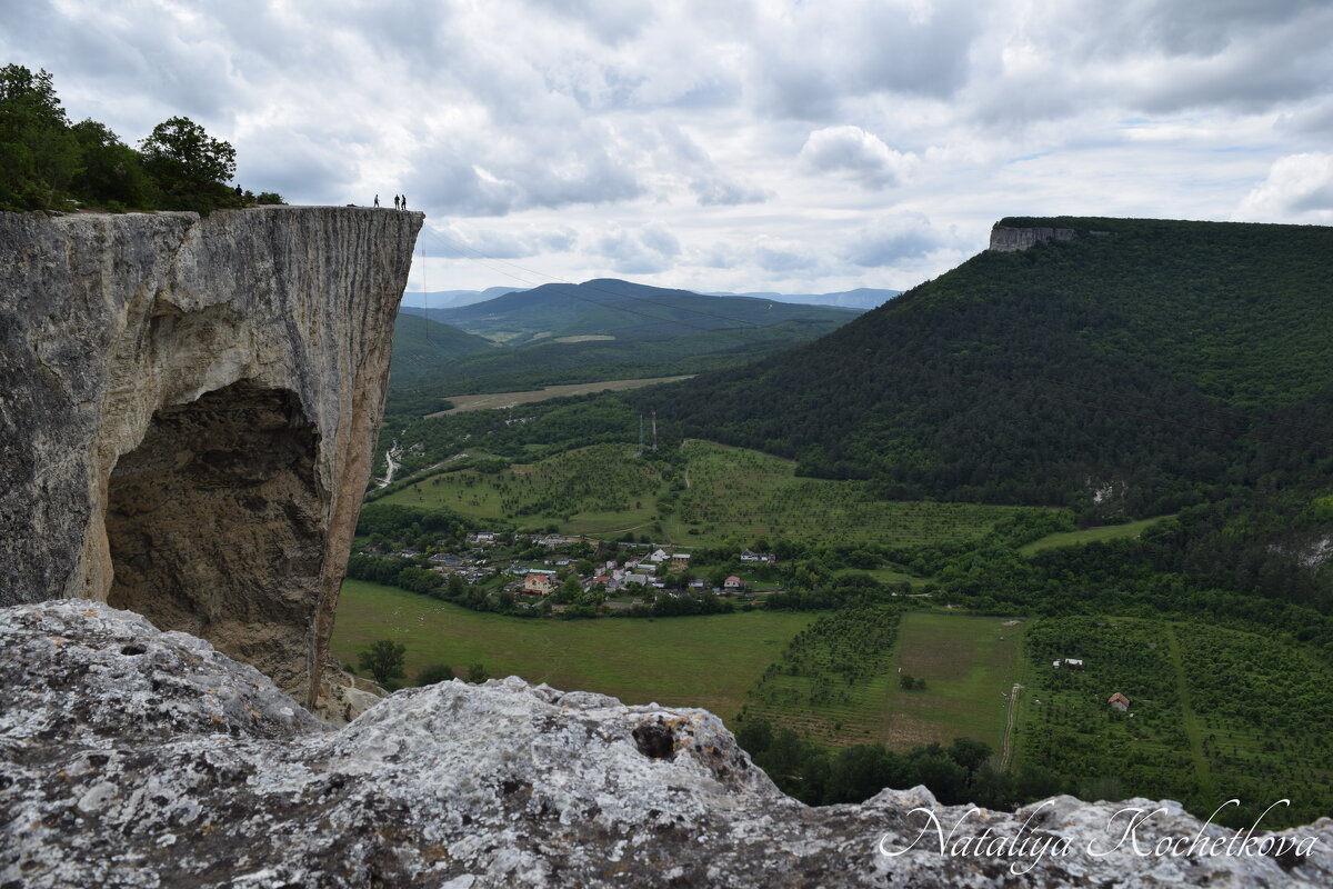 Природа Крыма - Amazing Cosmea