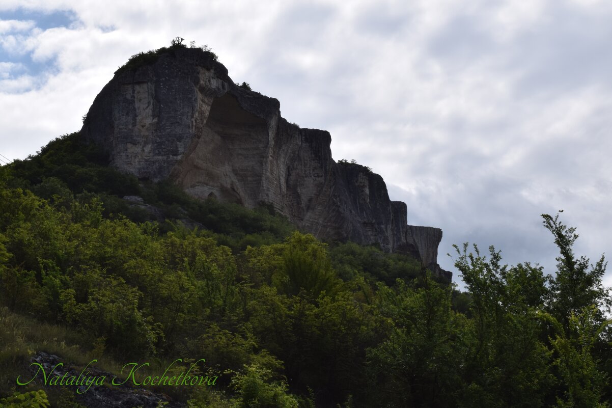 Природа Крыма - Amazing Cosmea