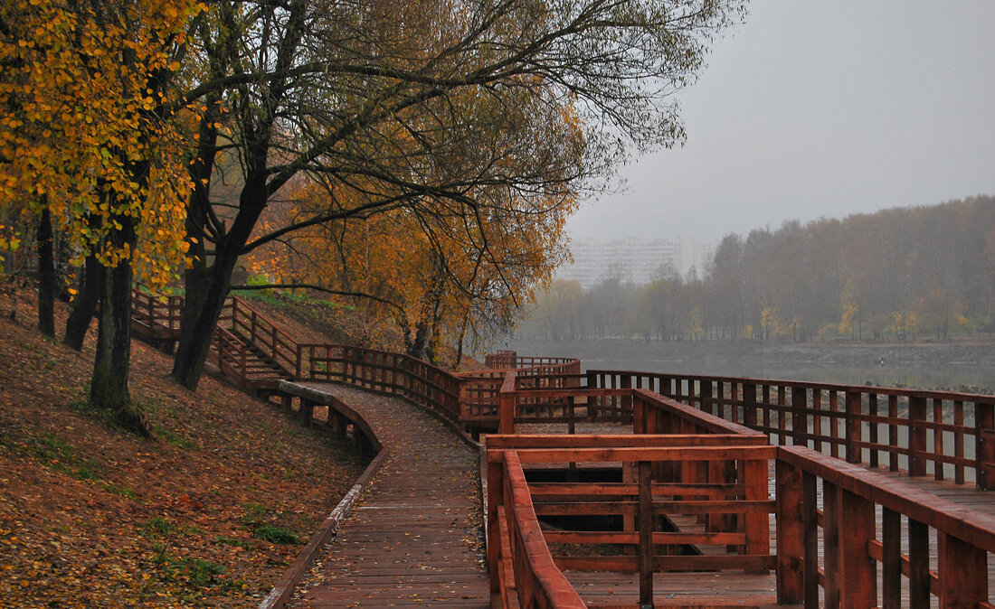 Осень в парке... - Ирина С