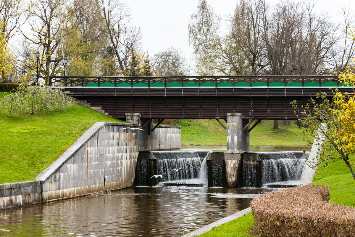 р.Кикенка - navalon M