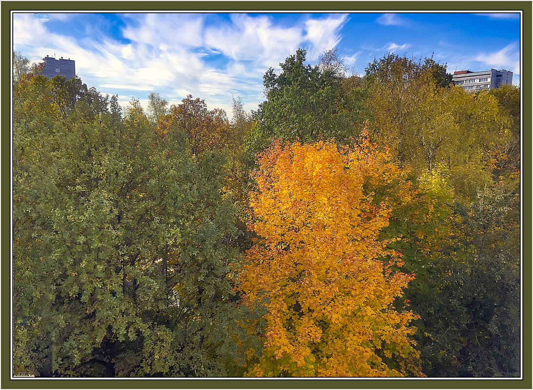 Осень набрала обороты - Владимир Кроливец