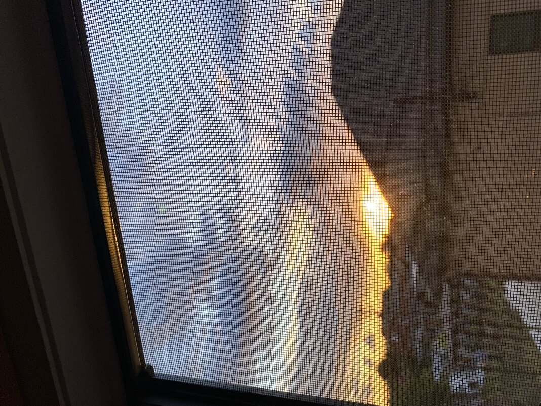 Закат из окна - М С