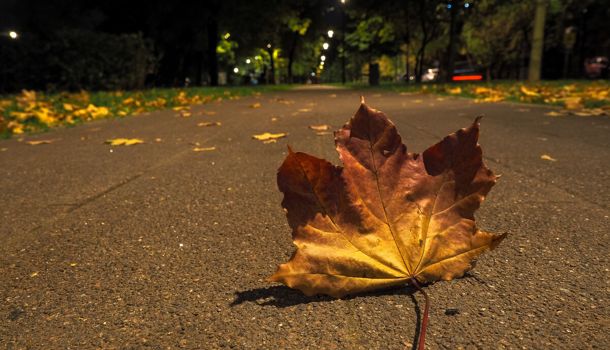 Осенние - юрий поляков