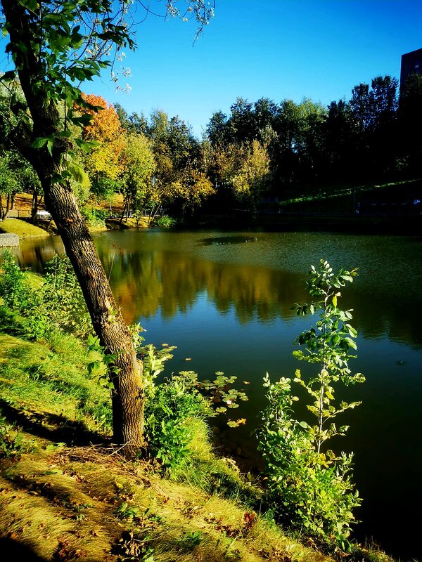 Городской пейзаж - Сергей Б.