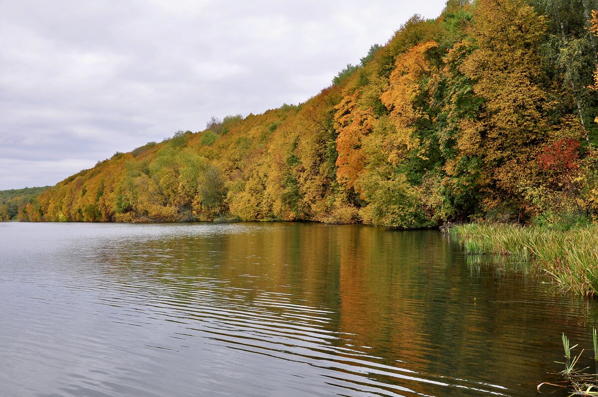 Осенью река - Александр Конов