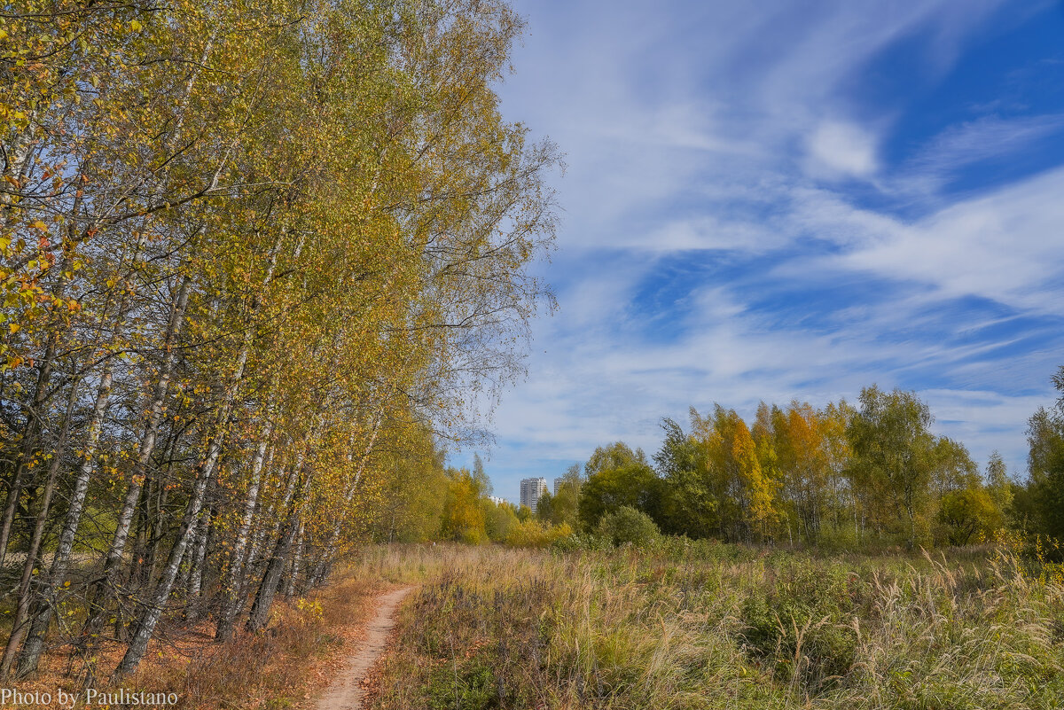 Палитра октября... - Владимир Жданов
