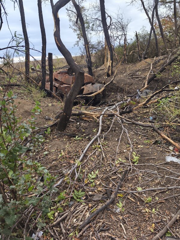 Леопард - Тхан 